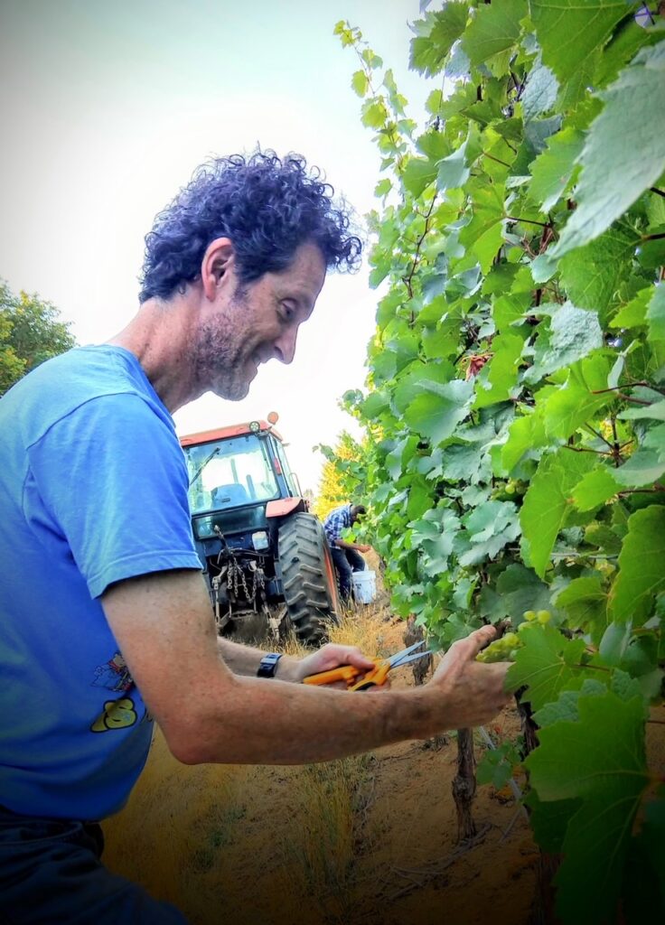 Scott working the Vineyard with care